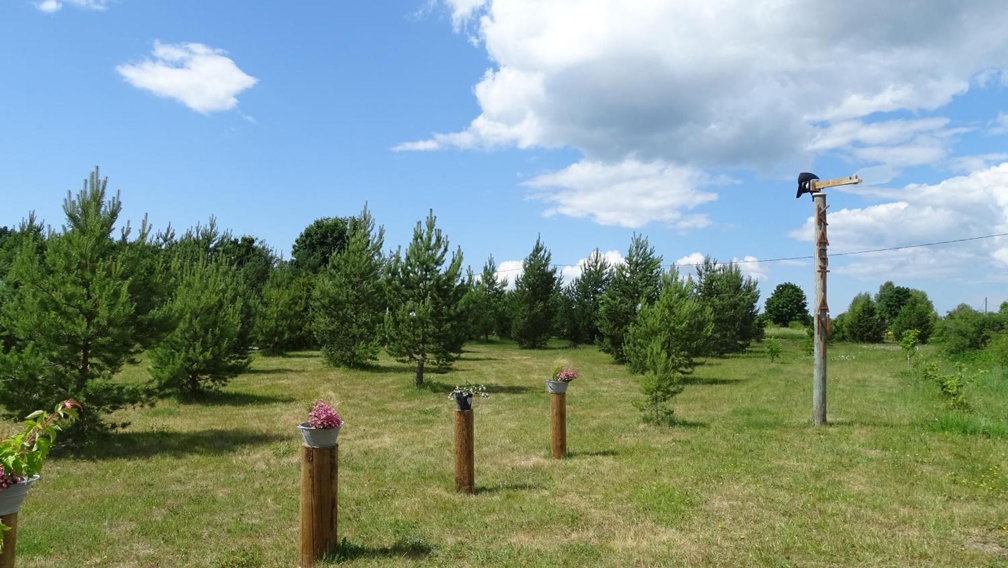 Kastani Camping Haapsalu Dış mekan fotoğraf